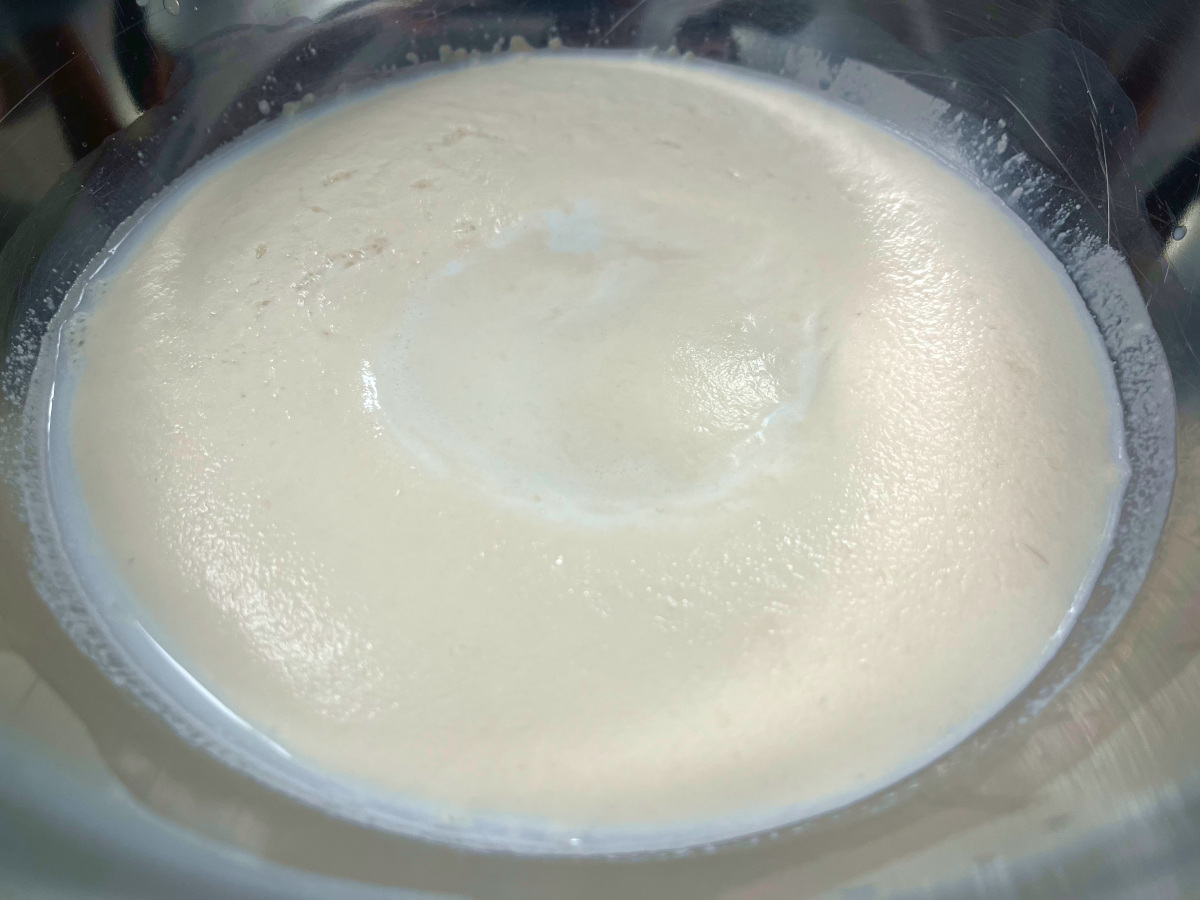 Activated yeast in a bowl